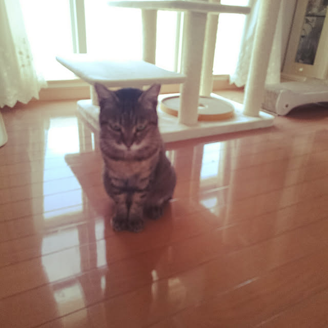 lilyさんの実例写真
