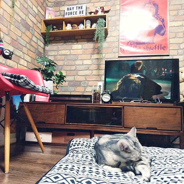 hugさんの実例写真