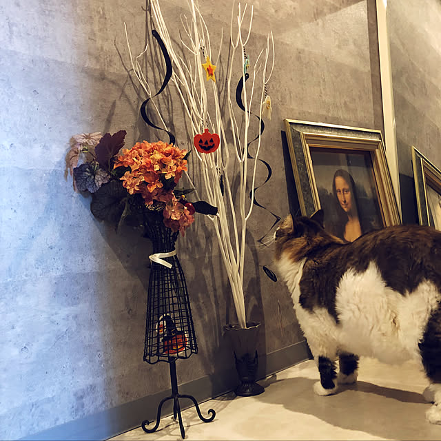 monyarizaさんの実例写真