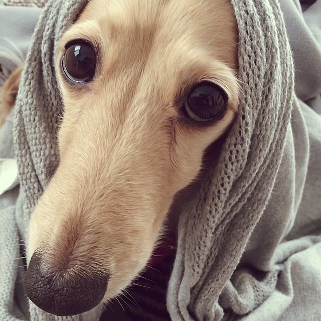 mikiさんの実例写真