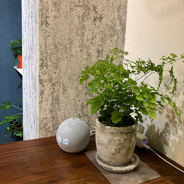 kumaさんの実例写真