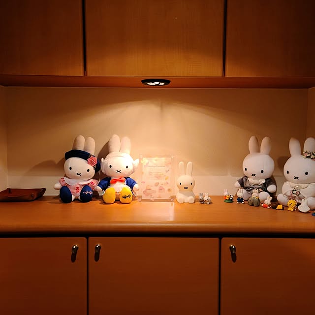 fujiさんの実例写真