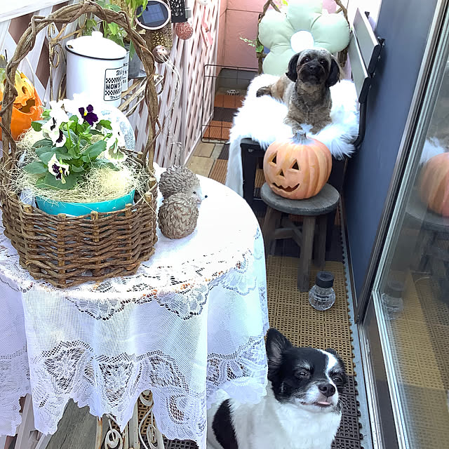 taeさんの実例写真