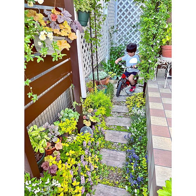 hinamamaさんの部屋