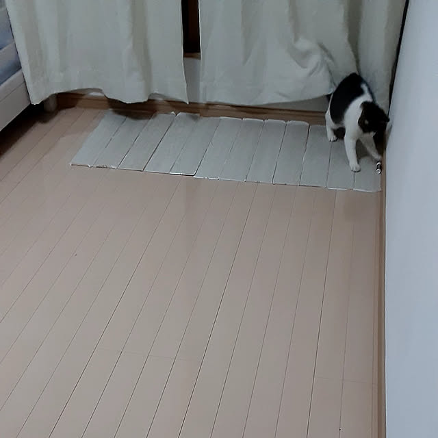 saosanさんの実例写真