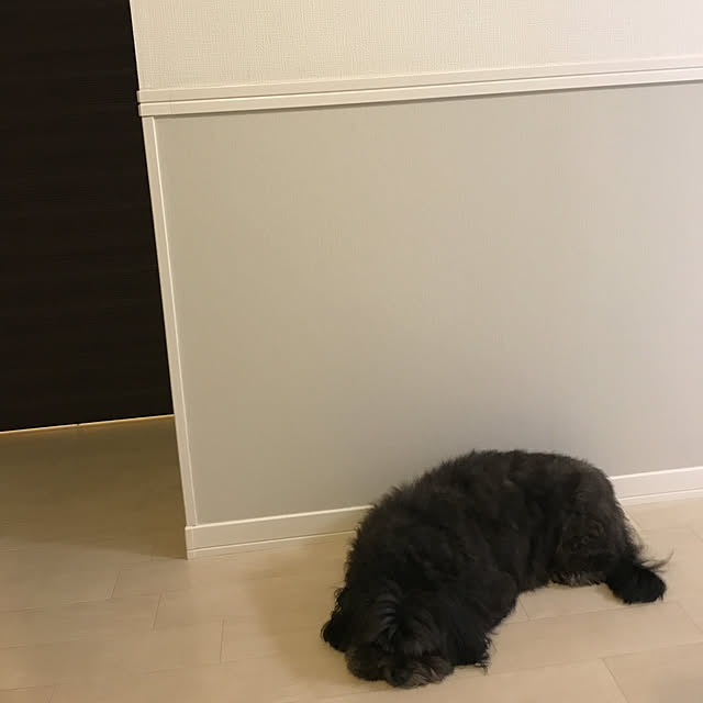 milk_cocoaさんの実例写真