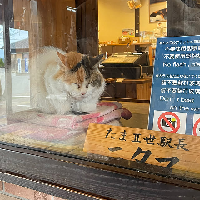 kawauso15さんの部屋