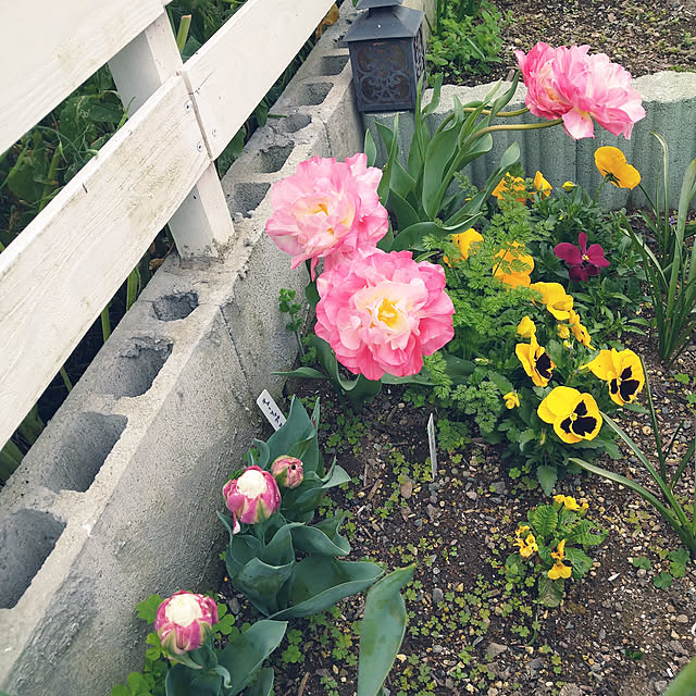 boston5757さんの実例写真