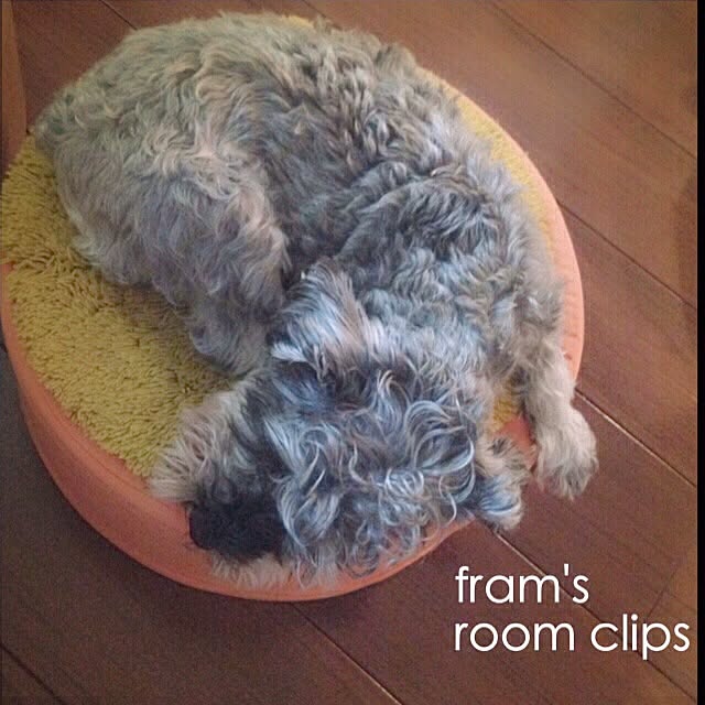 framさんの実例写真