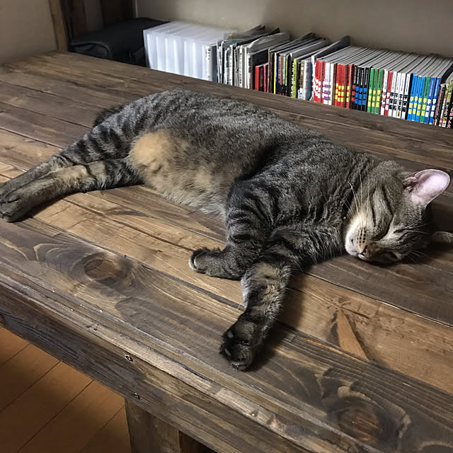 mikan161さんの実例写真