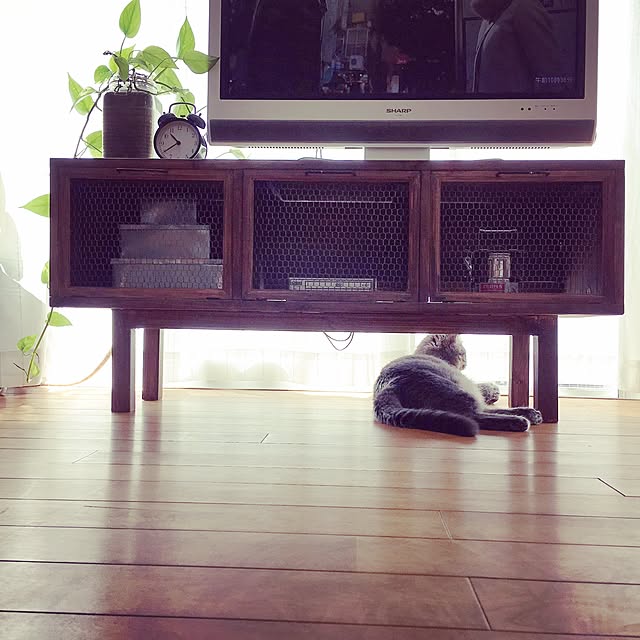 Sasaさんの実例写真