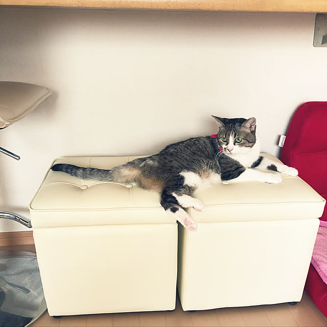 nnmmさんの実例写真