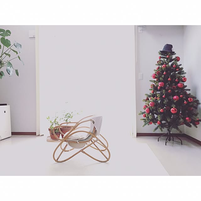 chanさんの実例写真