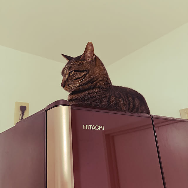 rikaさんの部屋