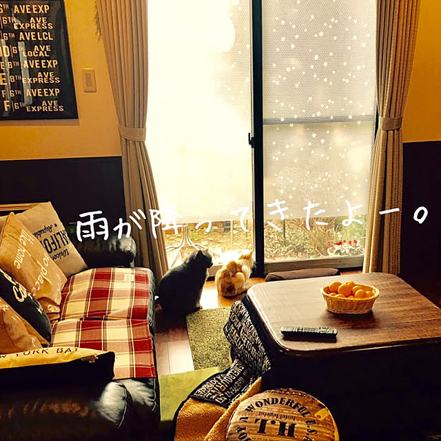 chikaさんの実例写真