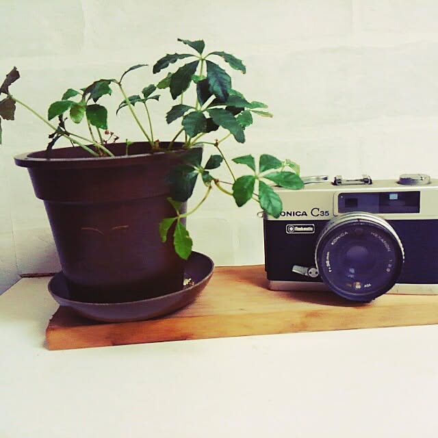 natuさんの実例写真