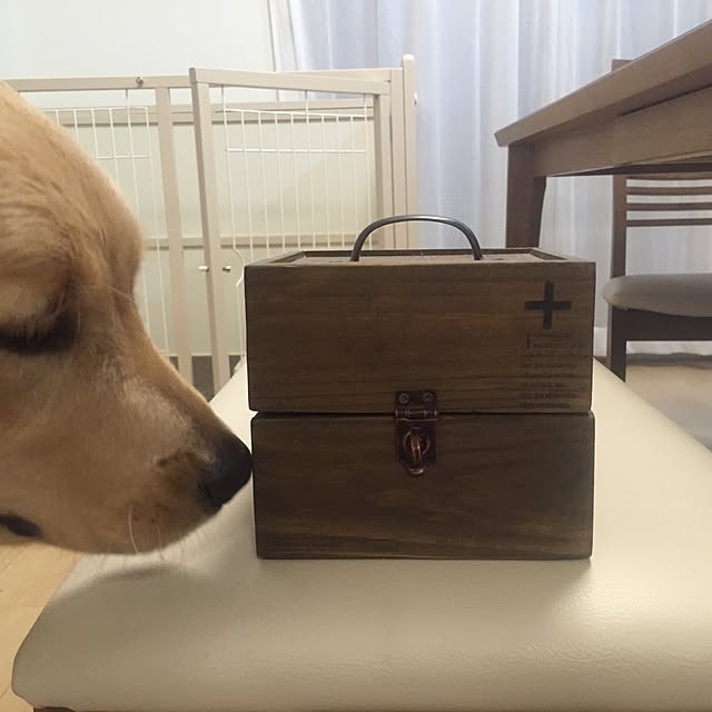 Kazueさんの実例写真