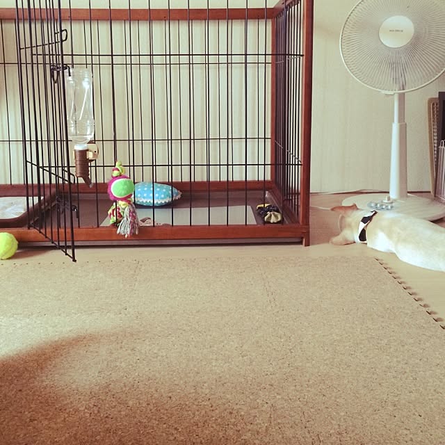 granさんの実例写真