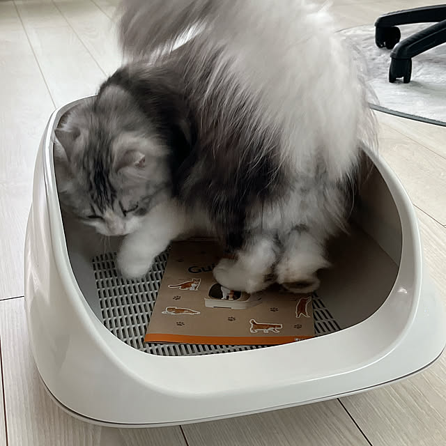 cotoriさんの部屋