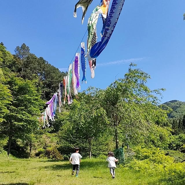 実例写真