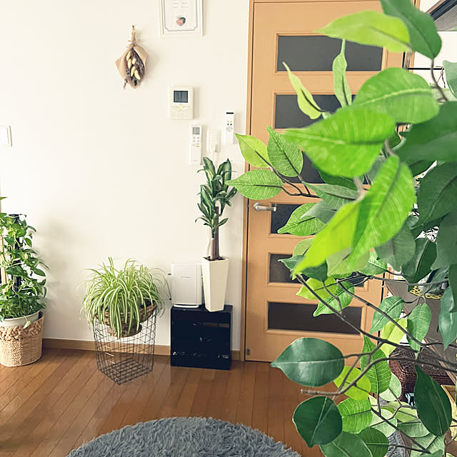 muy.さんの部屋