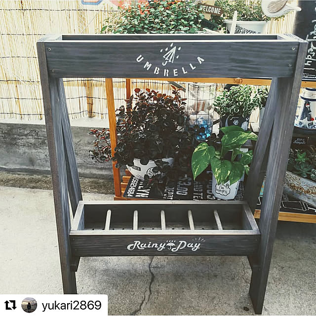 yupinokoさんの部屋