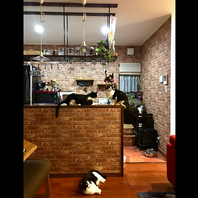 butachanさんの実例写真