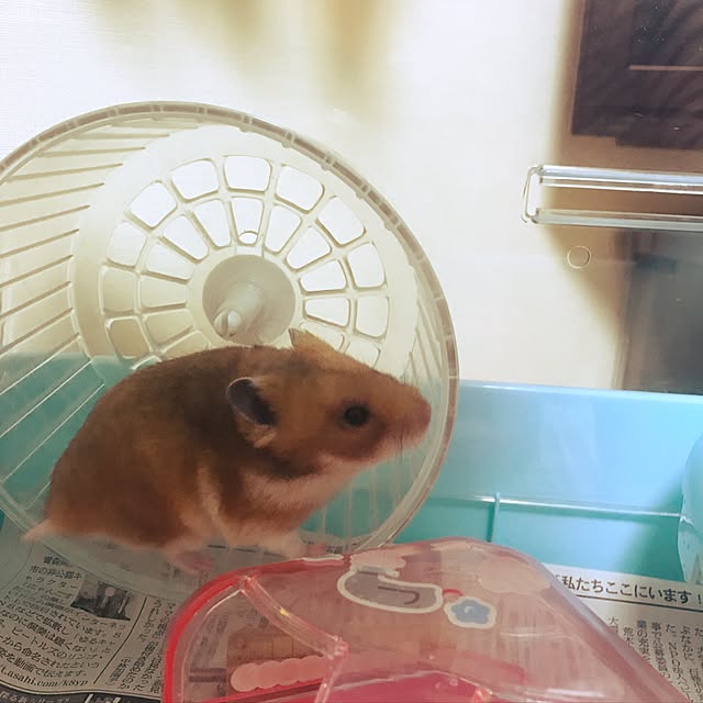 mayuさんの実例写真