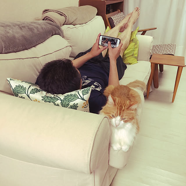 uchidaizuさんの実例写真