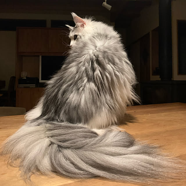 Kikko.さんの実例写真