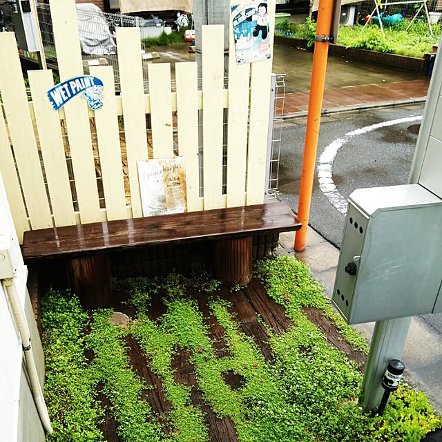 chicoさんの実例写真