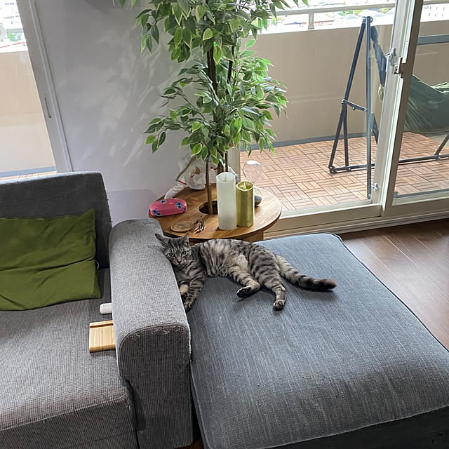 dsimbaさんの実例写真