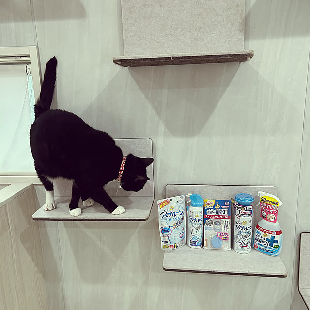 m.coccoさんの実例写真
