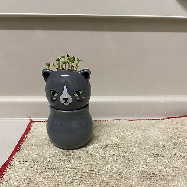 meruさんの部屋