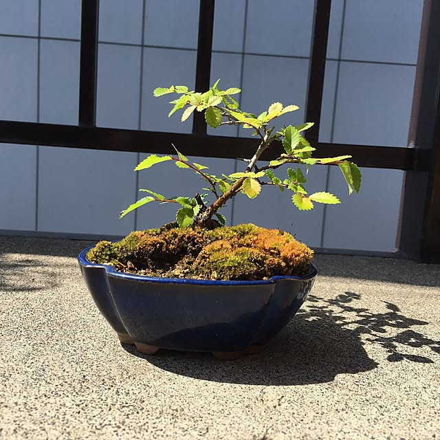 Keisukeさんの実例写真
