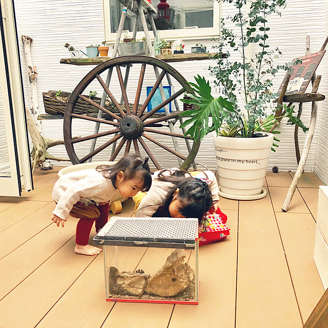 Yukoさんの実例写真