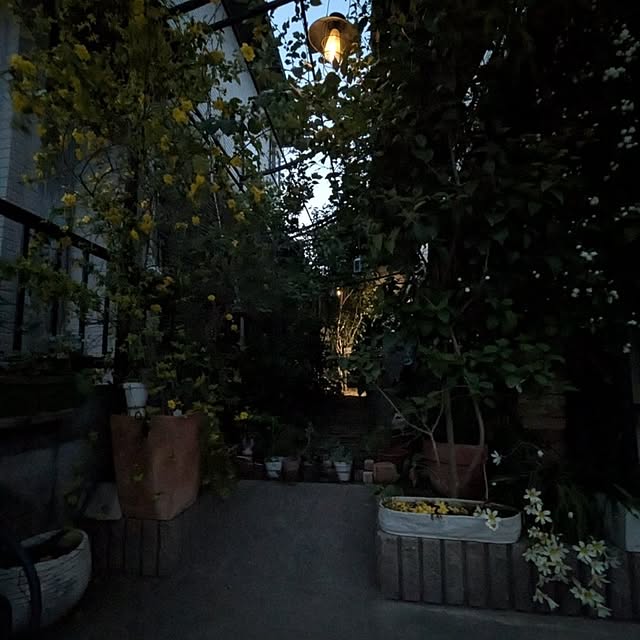 mori_6_12さんの部屋