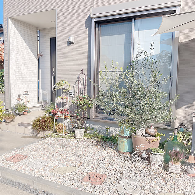 akiko-ovさんの部屋