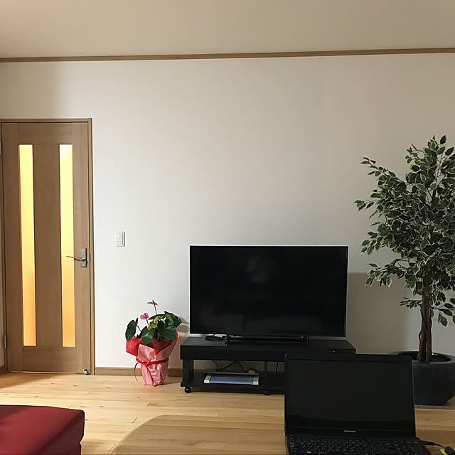 sakurabibiさんの実例写真