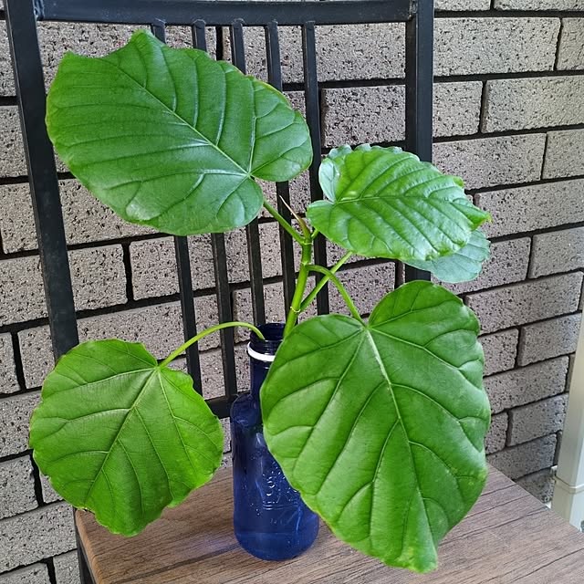 Rさんの実例写真