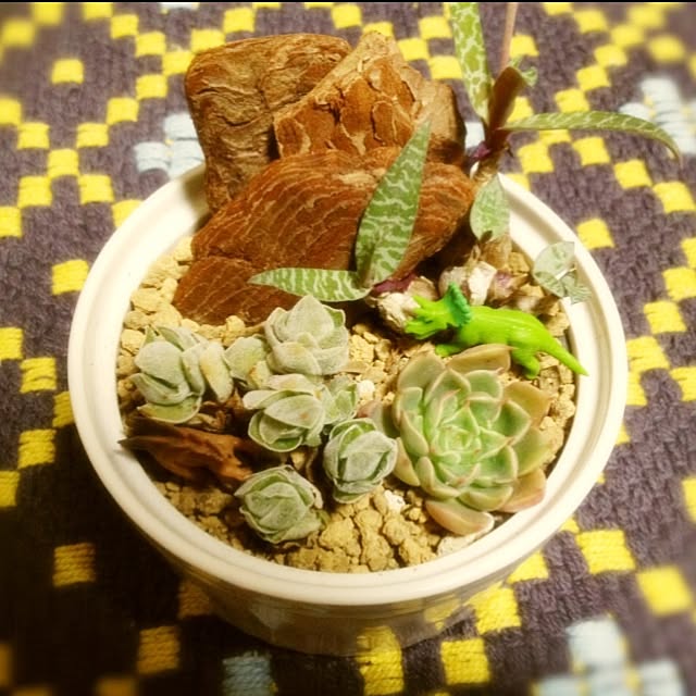 s-c.m.1.0さんの実例写真