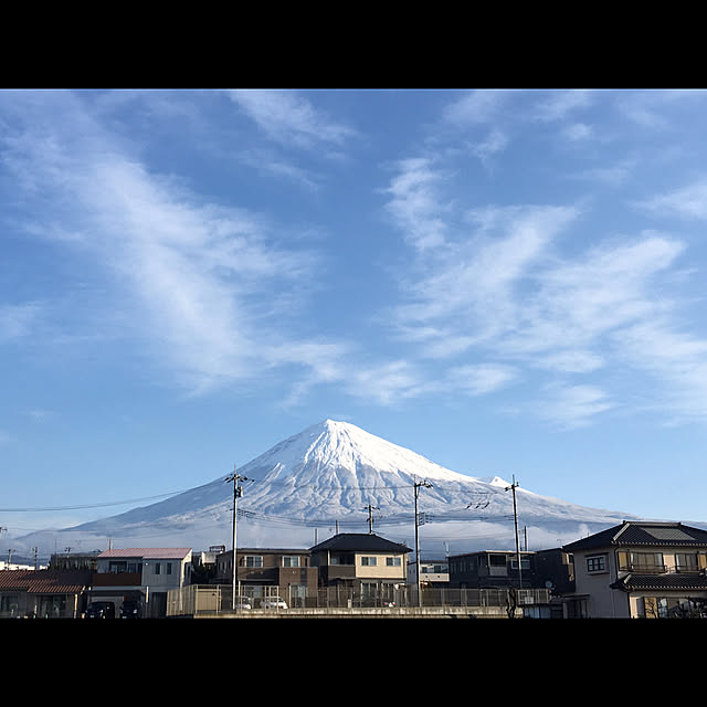 tigerさんの実例写真