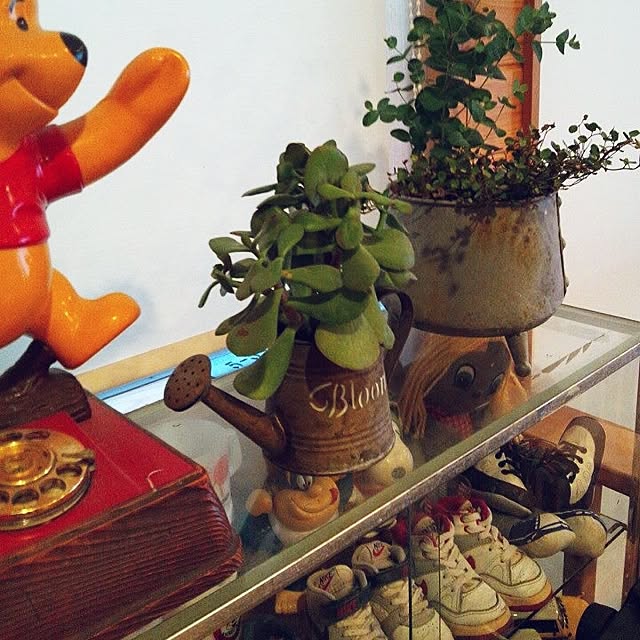 KIKIHIROさんの実例写真