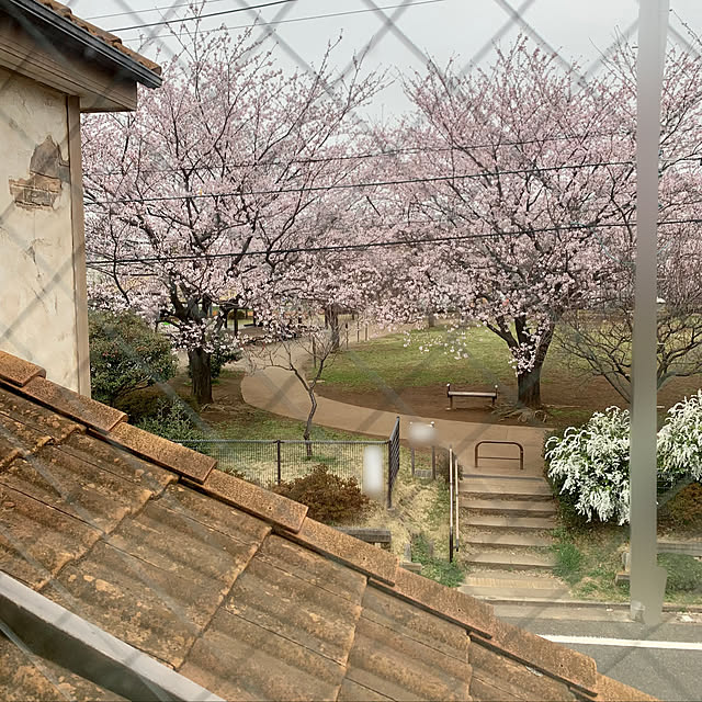 tabasaさんの実例写真