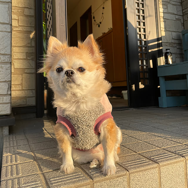 natsumiさんの部屋