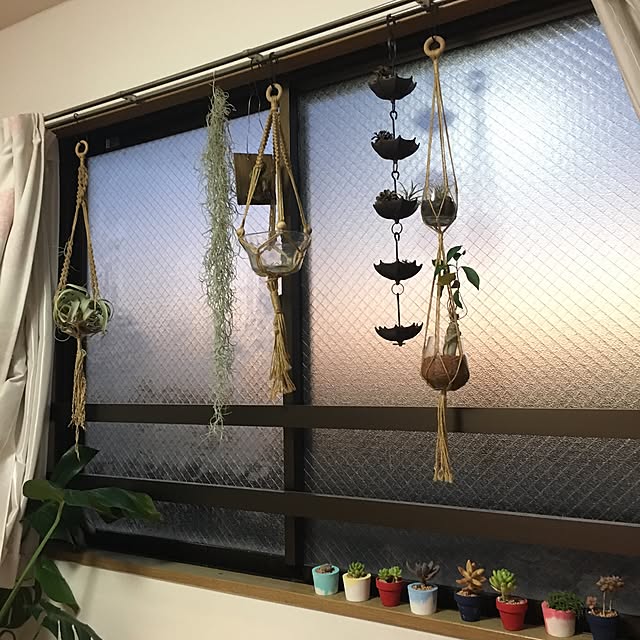 moechiさんの実例写真