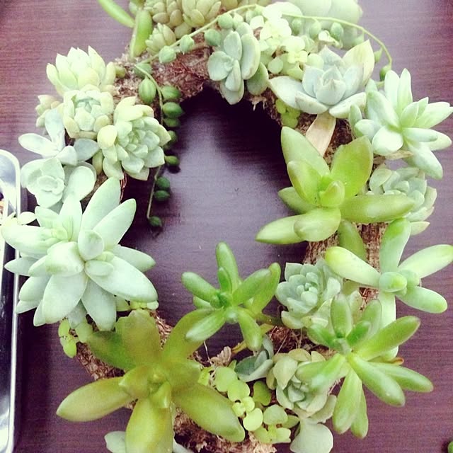 AYAkumiさんの実例写真