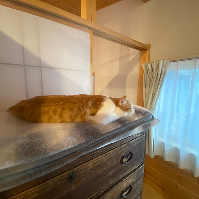senbei.sakuramochiさんの実例写真
