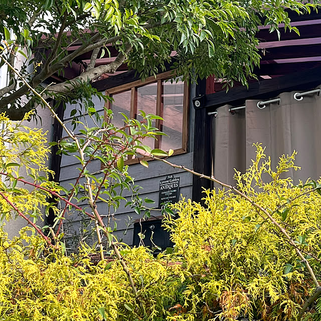 okeisanshimainomamaさんの部屋