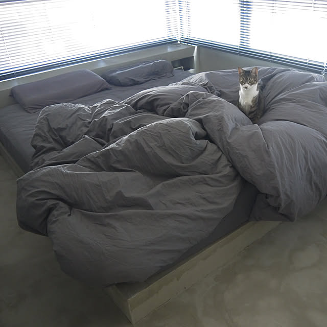 chihiroさんの実例写真